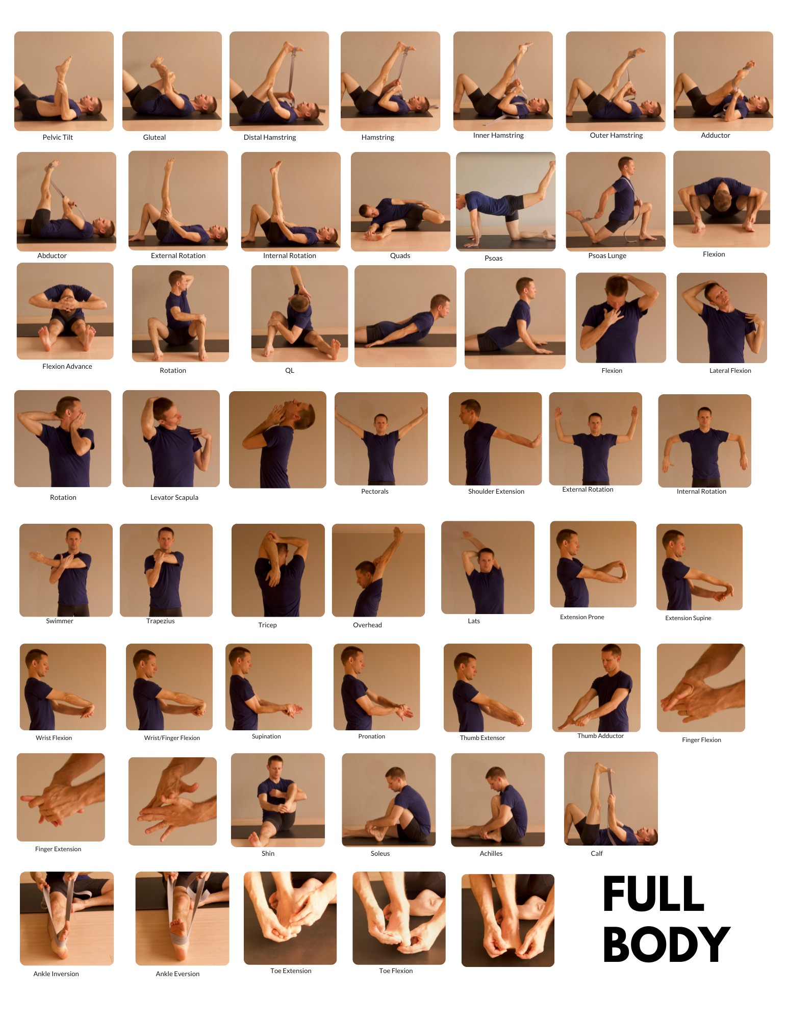 A collage of images showing a person performing various stretches and exercises targeting different muscle groups, including hamstrings, quads, shoulders, and more.